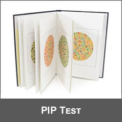 Logo-PIP Test